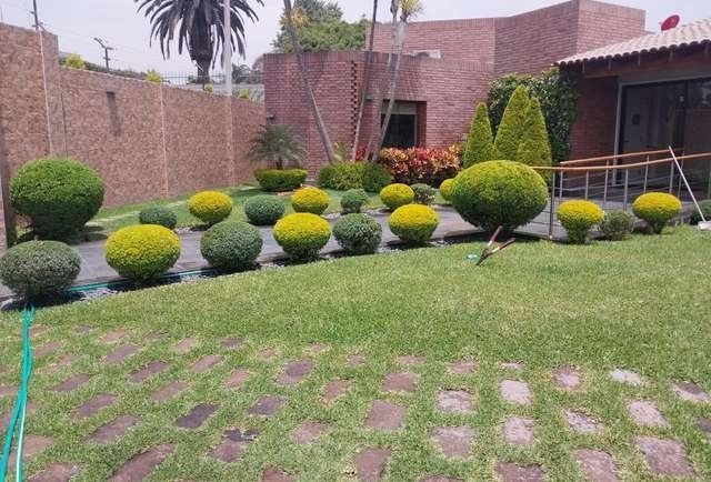 Paisajismo y decoración