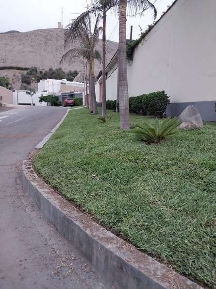 Recuperación de áreas verdes – foto 1