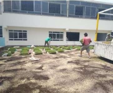 Instalación de grass americano – foto 2