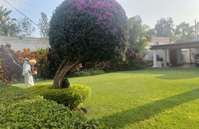 Fumigación de plagas – foto 2
