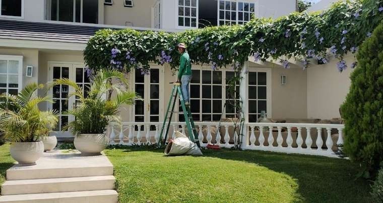 Paisajismo y decoración – foto 2