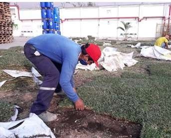 Instalación de tierra de chacra – foto 3