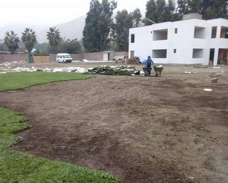 Instalación de grass americano – foto 3