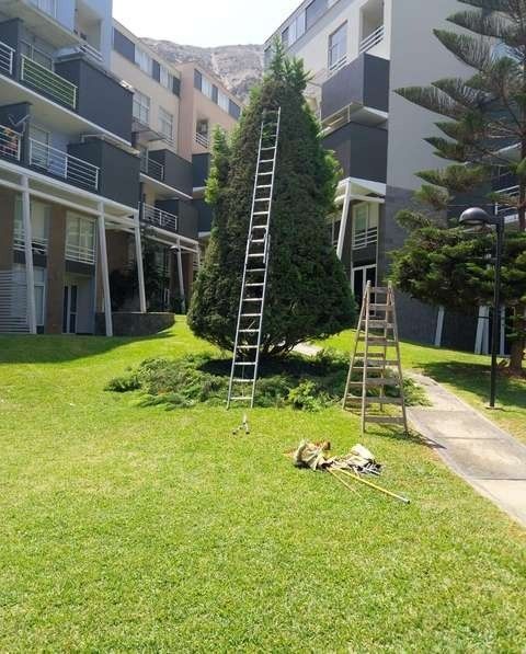 Mantenimiento de condominio – foto 3