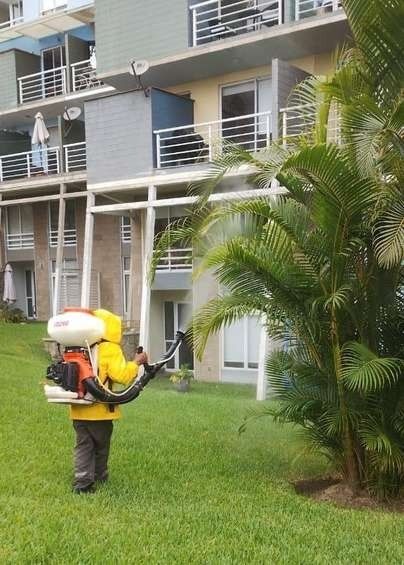 Mantenimiento de condominio – foto 4