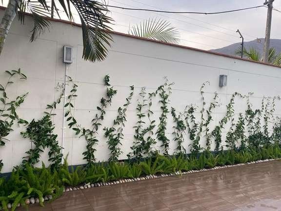 Recuperación de áreas verdes – foto 6