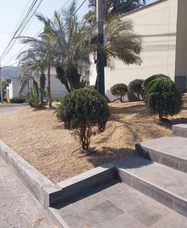 Recuperación de áreas verdes – foto 7