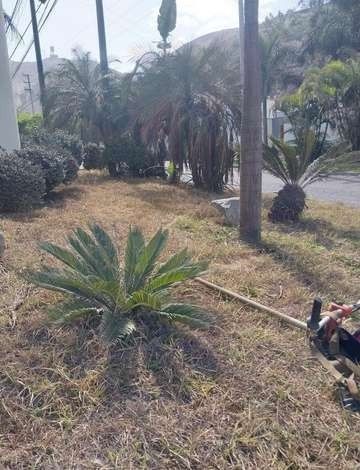 Recuperación de áreas verdes: antes